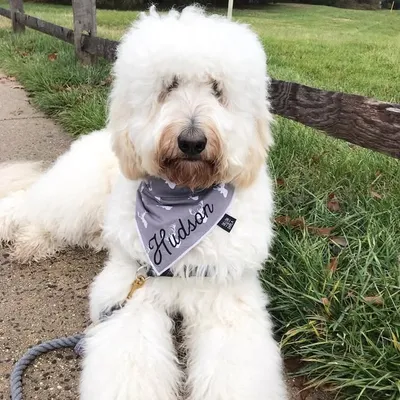 Hudson profile