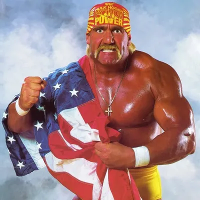 Hulk Hogan profile