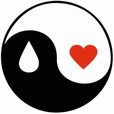 HumanFly Collective profile