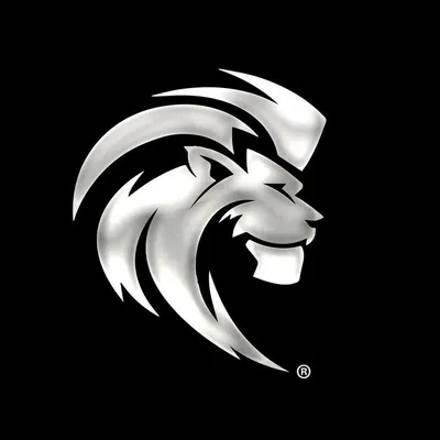 Rayan ๐ซ๐ท๐น๐ณ๐ต๐ธ profile