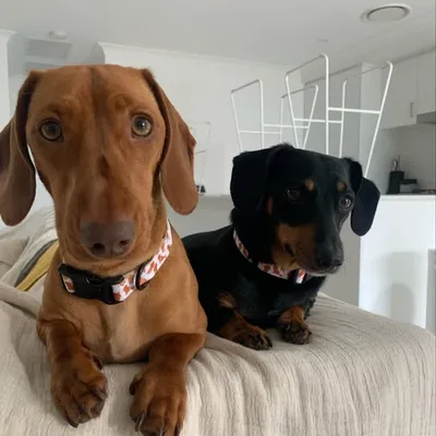 HUMPH & LENNY profile