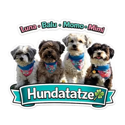 Luna,Balu,Momo,Mimi&Conny ๐(Mogly&Shila)๐ profile