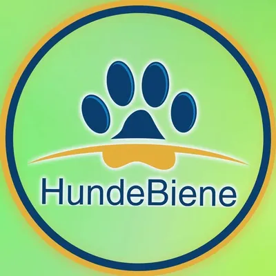 Sabine 🐶Deine Hundetrainerin profile