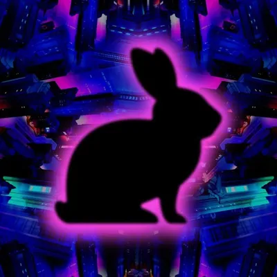 Hunny Bunny profile