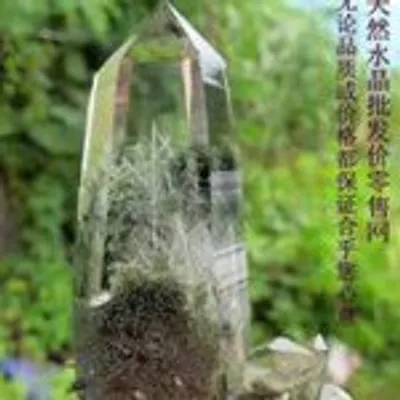 Hurgie Crystal profile