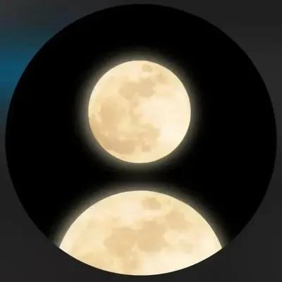 ๐๐๐๐๐๐ ๐๐๐๐ profile