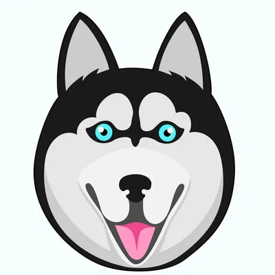 Husky 💥Follow us💥 profile