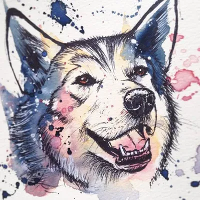 Husky Lovess® profile
