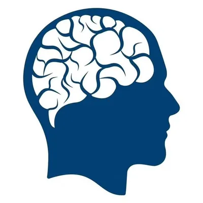 Hustling ADHD 🧠profile