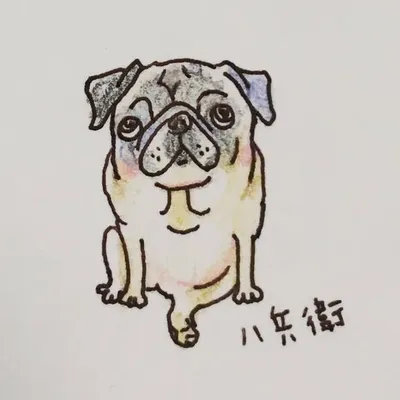 huxxi profile