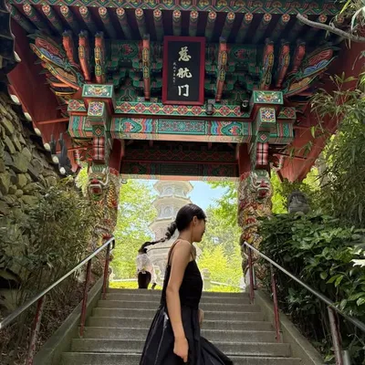 profile