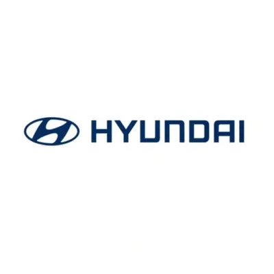 Hyundai India profile