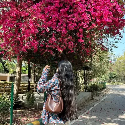 KhushiSingh ⭐️ profile