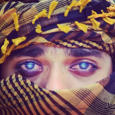 | شيخ أليف | profile