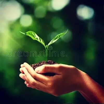 🔵 I Am Agriculturist🌱 profile