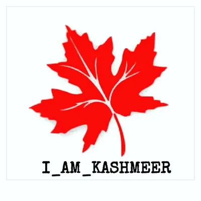 I AM KASHMEER 🍁 | PARADISE profile
