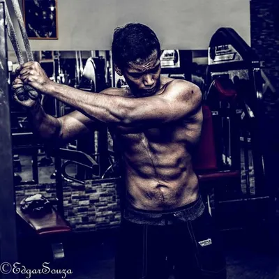 THE FITNESS FREAK profile