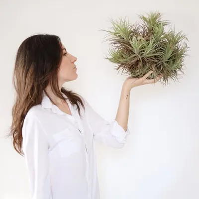 Alice Delgrosso | I Giardini di Ellis profile