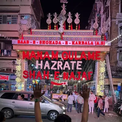 Mohammad Sheeraz Rizvi profile