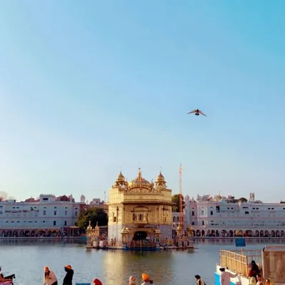 Sukhbir Gill 🦅 profile