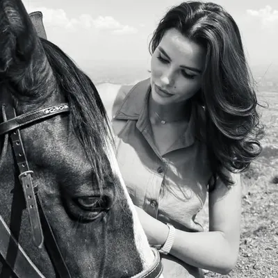 Bleta profile