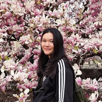 C. | Creative traveller🇨🇭 profile