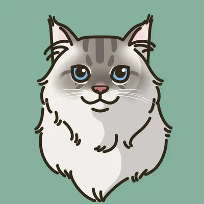 Poki the Cat profile