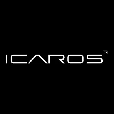 ICAROS | Rehabilitation | Fitness profile