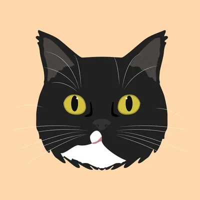 Catisfaction ๐พ Meow profile