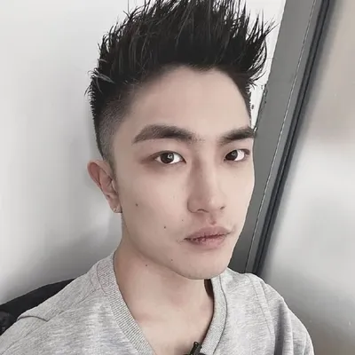 Yan Han profile