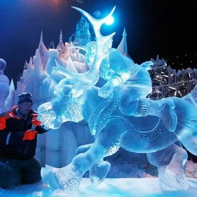 Ice Magic profile