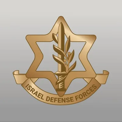 Israel Defense Forces profile