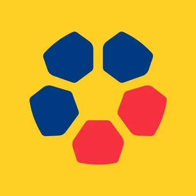 Idioma FutCol profile