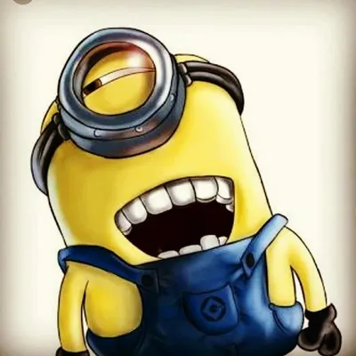 just funny things profile