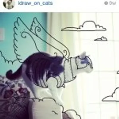 Bob the Cat And His Human profile