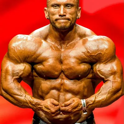 Berek Gábor "Szikla" IFBB PRO profile
