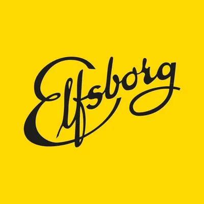 IF Elfsborg profile