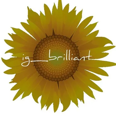 @IG_BRILLIANT☀️#ig_brilliant profile