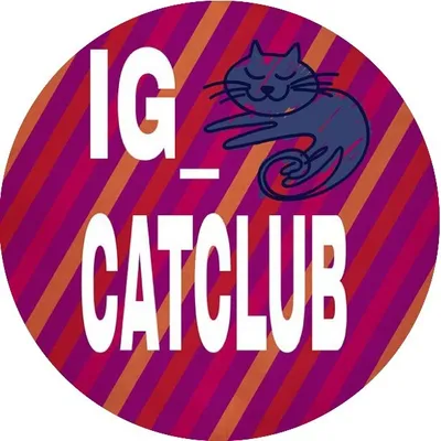ig_catclub profile