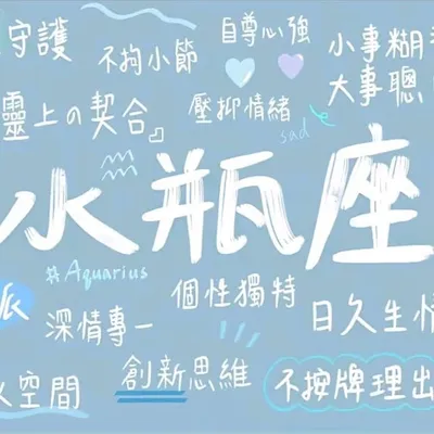 吃饭睡觉打豆豆 profile