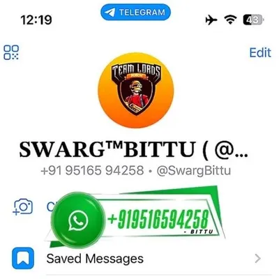LordBittu x SwargBittu profile