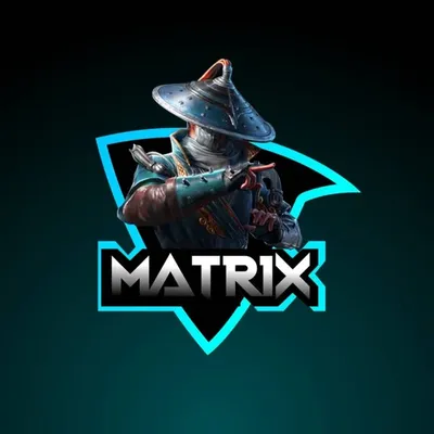 matrix gaming profile