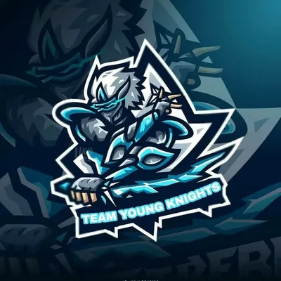 TEAM YOUNG KNIGHTS profile