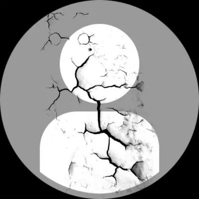 ZISSU KHAN profile