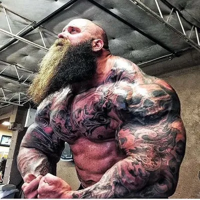 BODYBUILDING ⏸STRONG profile