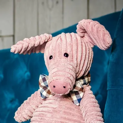 Iggy the Piggy. Игги Пигги profile