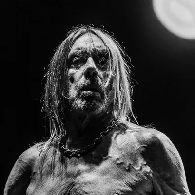 Iggy Pop Official profile