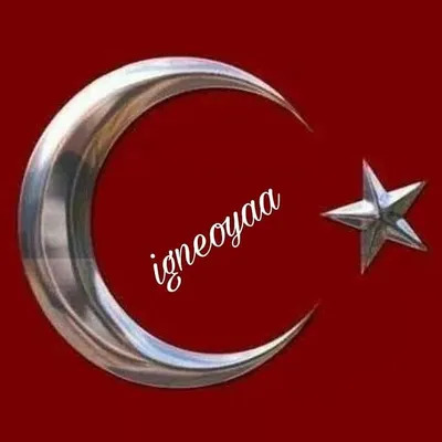 İgneoyaa profile