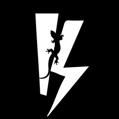 Iguana Producciones Ecuador profile