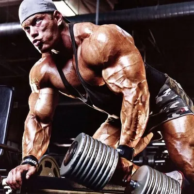 Gym Lovers profile